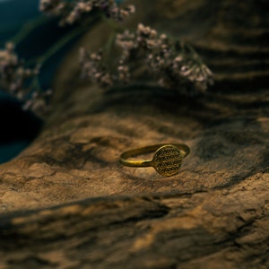 Op de afbeelding: Een goudkleurige ring met een cirkelvormig ontwerp met een geometrisch patroon, geplaatst op een getextureerd, bruin houten oppervlak. Het ontwerp van de ring is een reeks in elkaar grijpende cirkels, waardoor een bloemachtige vorm ontstaat. De ring is een sieraad.