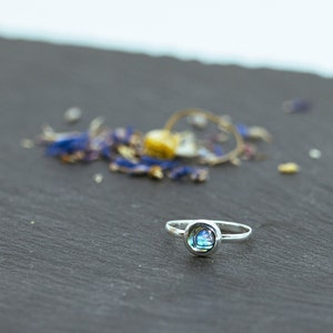 Könnte beinhalten: Ein silberner Ring mit quadratischem Abalone-Muscheleinsatz. Der Ring liegt auf einer dunkelgrauen Oberfläche, mit verschwommenen blauen und gelben Blütenblättern im Hintergrund. Die Abalone-Muschel hat schillernde Farben.