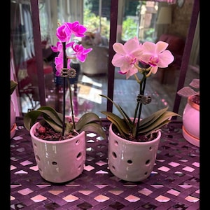 Ceramic Votive | Tealight Holder | Mini Orchid Pot