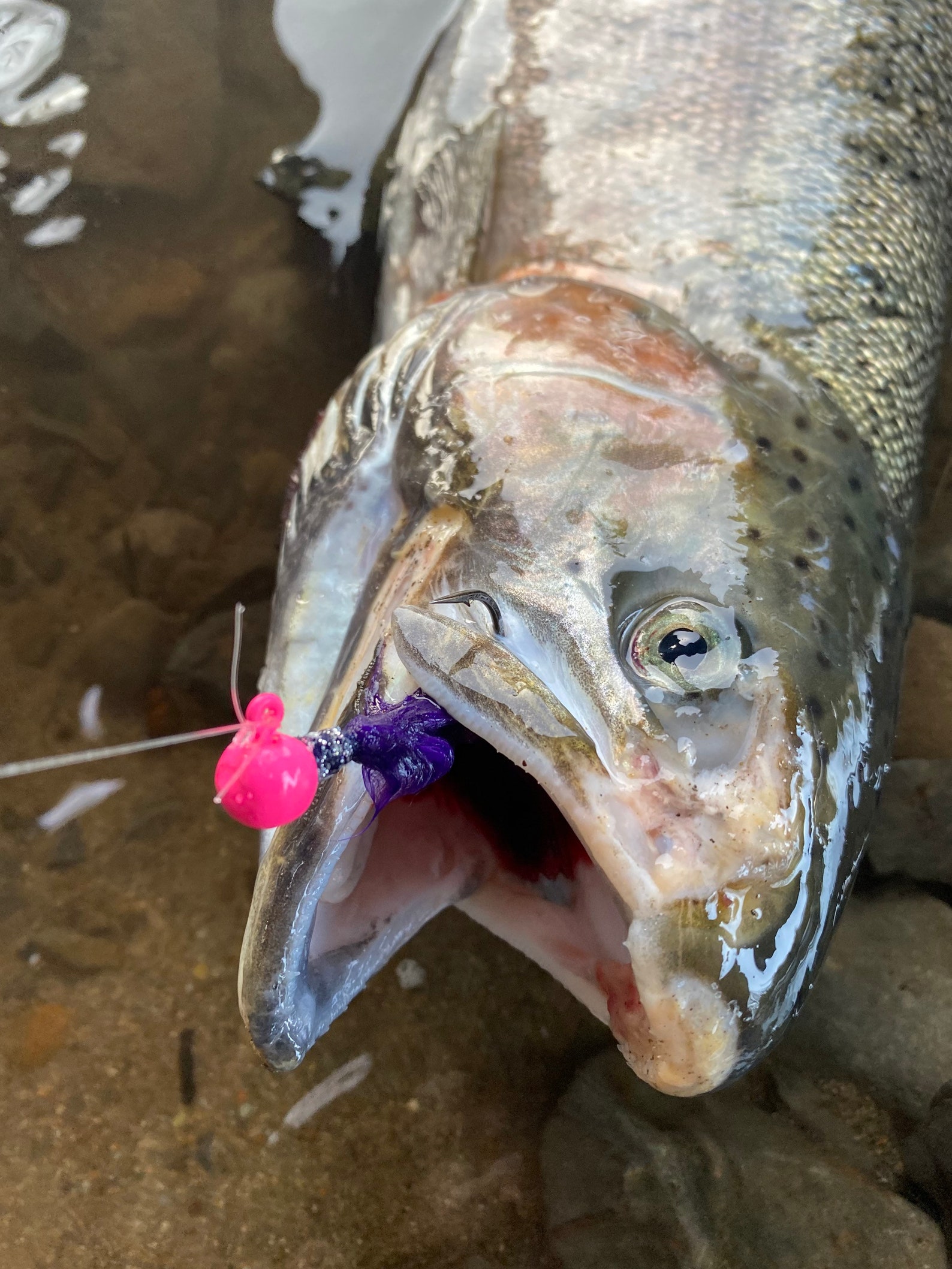 Custom Salmon Steelhead Jigs Etsy