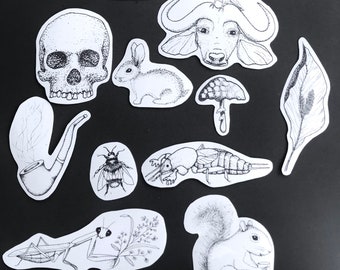 Glossy Vinyl Stickers