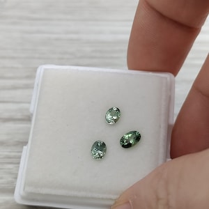 Green Montana Sapphire Ovals / 1.46 ct / Natural