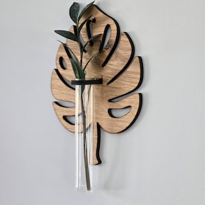 Monstera Hanging Propagation Station