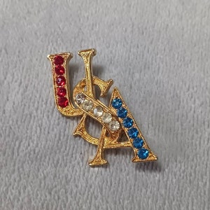 USA Pin Brooch