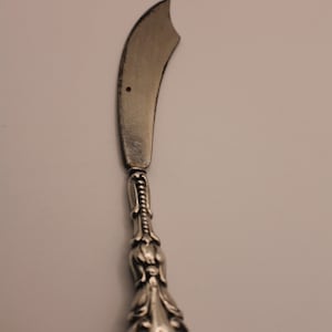 Vintage Sterling Cheese Spreader