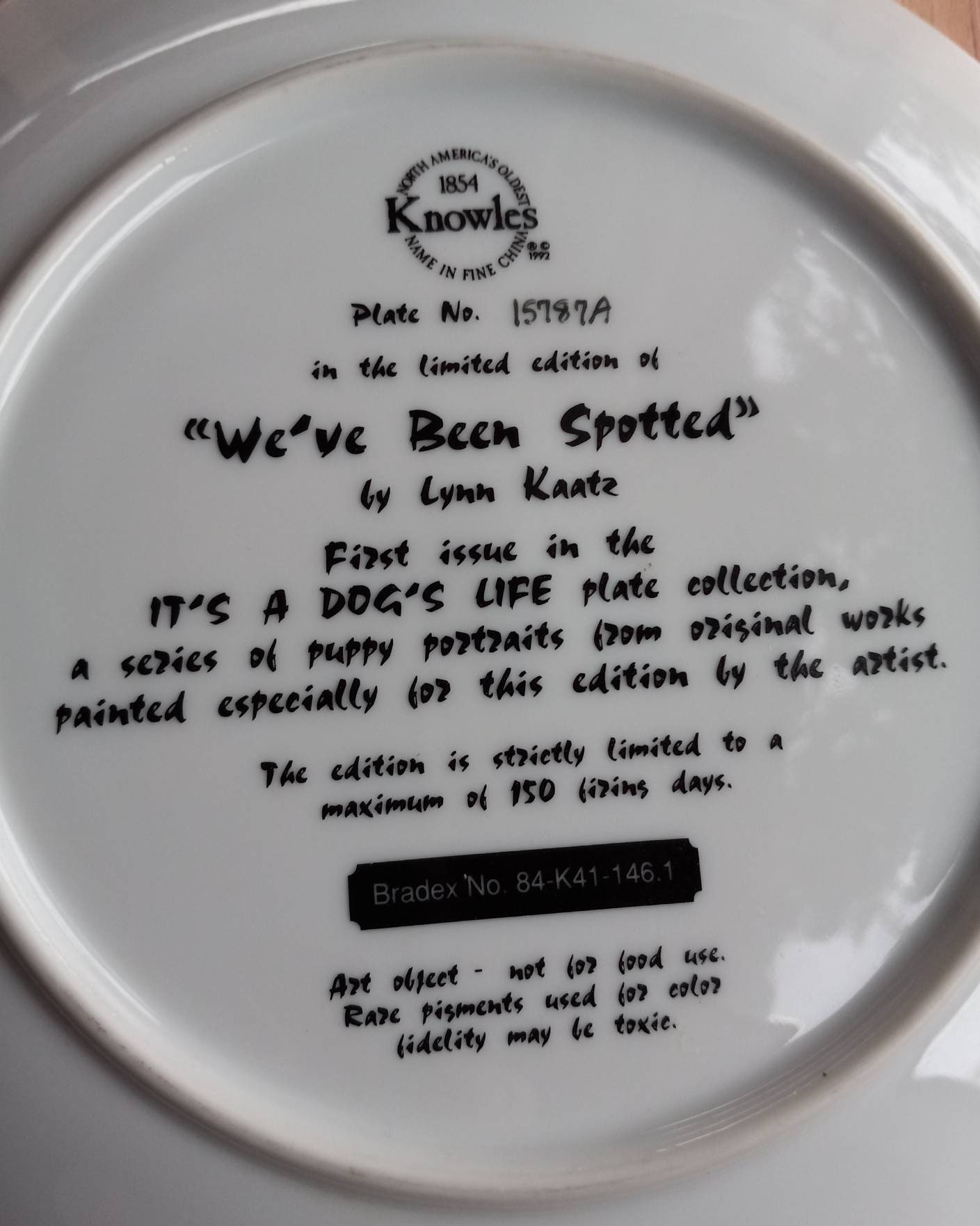 1854 Knowles Collection Plate Number 15787A Limited Edition We've