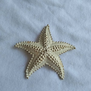Vintage goldtone metal Starfish Brooch Pin