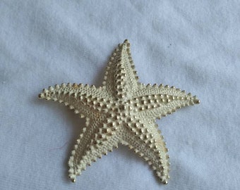 Vintage goldtone metal Starfish Brooch Pin