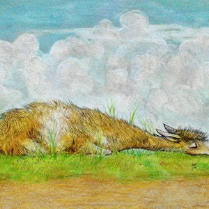 Sleepy Sunny Alpaca (Original Colored Pencil Drawing)