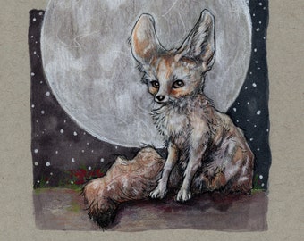 Alepoú (Seis dibujos originales de zorros fénec a lápiz de colores disponibles)