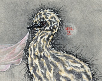 Baby Emu (Original Colored Pencil Drawing)