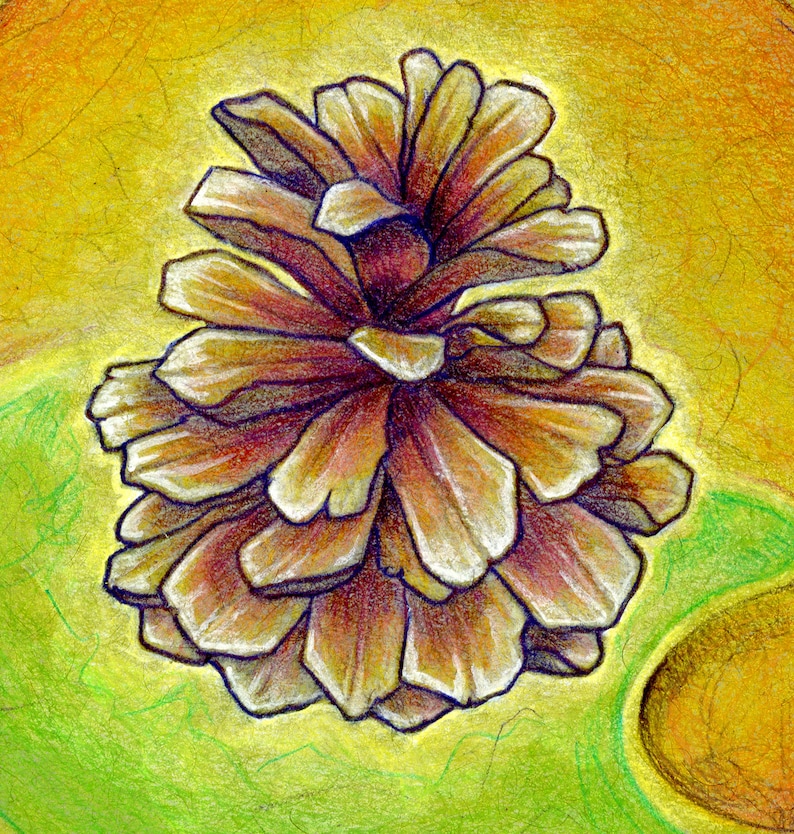 A Miracle We Can Never Explain Original Colored Pencil Pinecone Drawing image 2