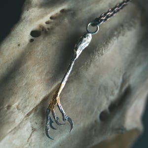 May include: A silver-toned pendant necklace featuring a bird claw design with gold-colored accents. The claw has sharp, curved talons. The necklace chain is dark and delicate, and the pendant is set against a blurred, textured background.