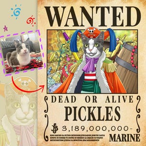 Cat Wanted Poster, Personalized pet, Your Cat in Pirate Poster, Pet as Pirate/Marine, Gift with Bounty, Animal lover, DIGITAL