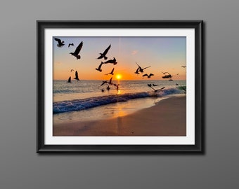 Seagull Sunset Print, Siesta Key Beach Photography
