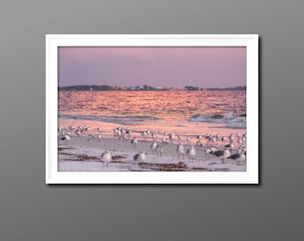 Seagull Sunset Print, Siesta Key Beach Photo Art
