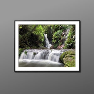 Elabana Falls Lamington National Park, Queensland Regenwald Foto, Wasserfall Fotodruck, Wasserfall Wandkunst, Australischer Regenwald Kunstwerk