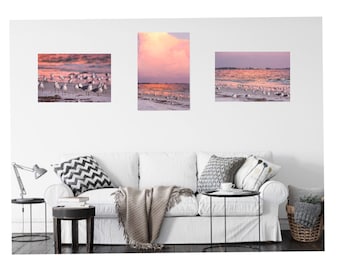 Siesta Key Beach Art, Seagull Photography Set of 3 Prints