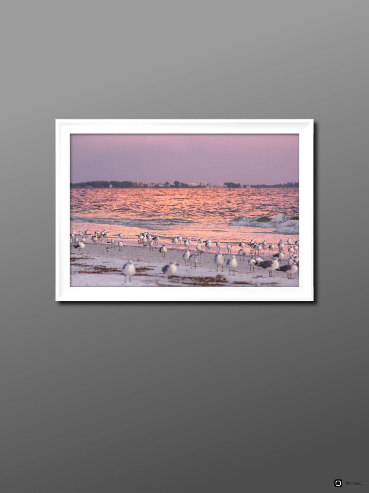 Brazilia F5s Baxi Brazilia Control Knob Brazilia Slimline Baxi