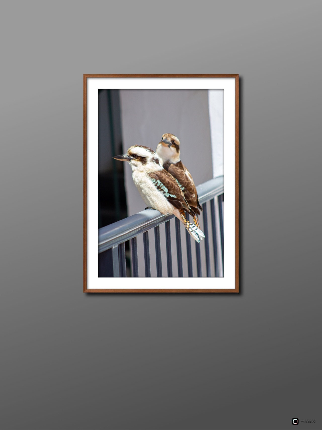 Kookaburra Print / Kookaburra Art / Bird Art Print / Australian Bird Photography / Wildlife Art Print Landscape / Kookaburras Digital Print