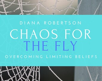 Chaos For The Fly - eBook