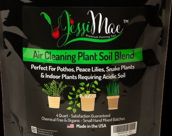 Pothos Air Cleaning Plant Soil- Organic pH Balanced for Peace Lily, Snake Plant, Parlor Palm, and Indoor Plants - 4 Quart Potting Mix