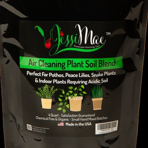 Pothos Air Cleaning Plant Soil- Organic pH Balanced for Peace Lily, Snake Plant, Parlor Palm, and Indoor Plants - 4 Quart Potting Mix