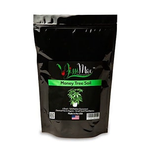Money Tree Soil – Indoor Potting Soil for House Plants – Nutrient Rich Plant Soil with Worm Castings, Compost (1 Gal)