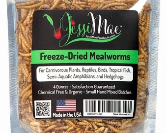 Freeze Dried Mealworms – 4oz Natural Protein Meal Supplement for Chicken, Bird, Venus Fly Trap, Reptile & Hedgehogs - Carnivorous Plant Food