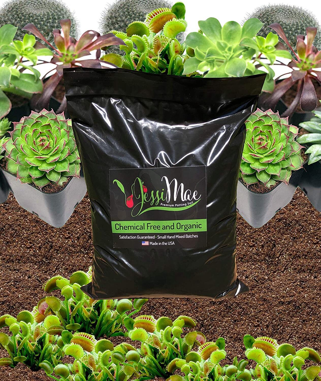 CARNIVOROUS VENUS FLY Trap Soil Premium Ph Balanced Etsy