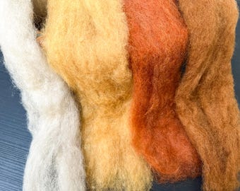 Corriedale Wool Roving Mix: Animal Colors Needle Felting Kit