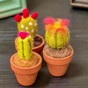 Needle Felted Cactus Decor: Wool Artificial Plant in Terracotta Pot