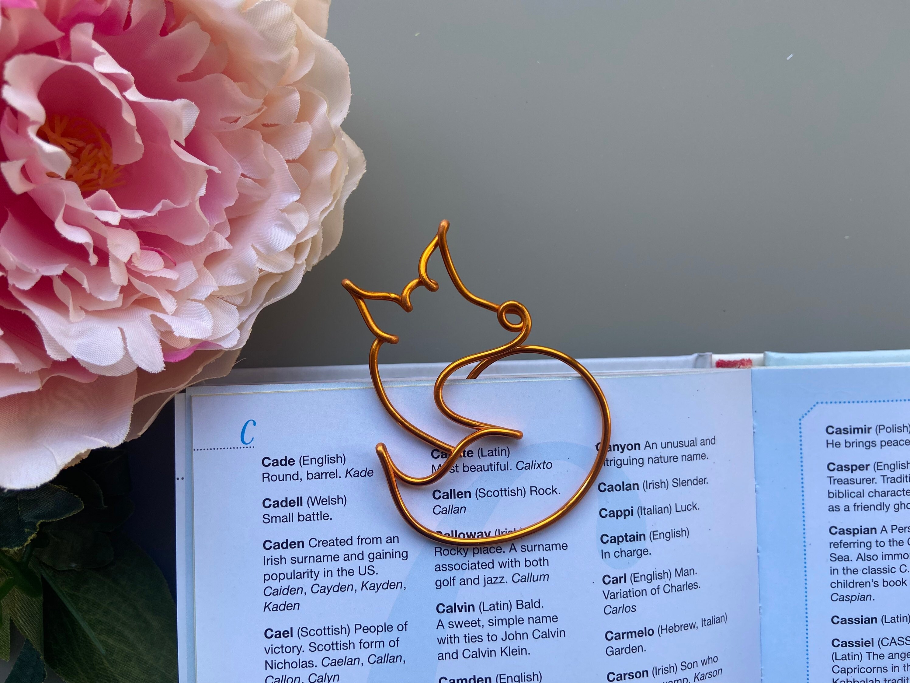 ローズ、カルロス用ワイヤー