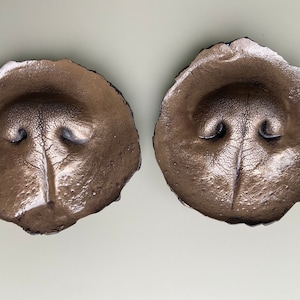 Personalised 3D Dog Paw Nose Print | Nose or Paw Keep Sake | Dog Lovers Gift, Pet Memorial | Bronze Nose Print | Bronze Paw Print | Pet Loss