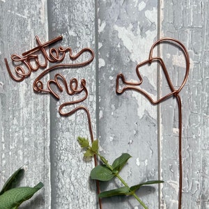 May include: Two copper wire plant markers, one shaped like a watering can and the other with the words "water me" in cursive. The markers are inserted into green leafy plants.