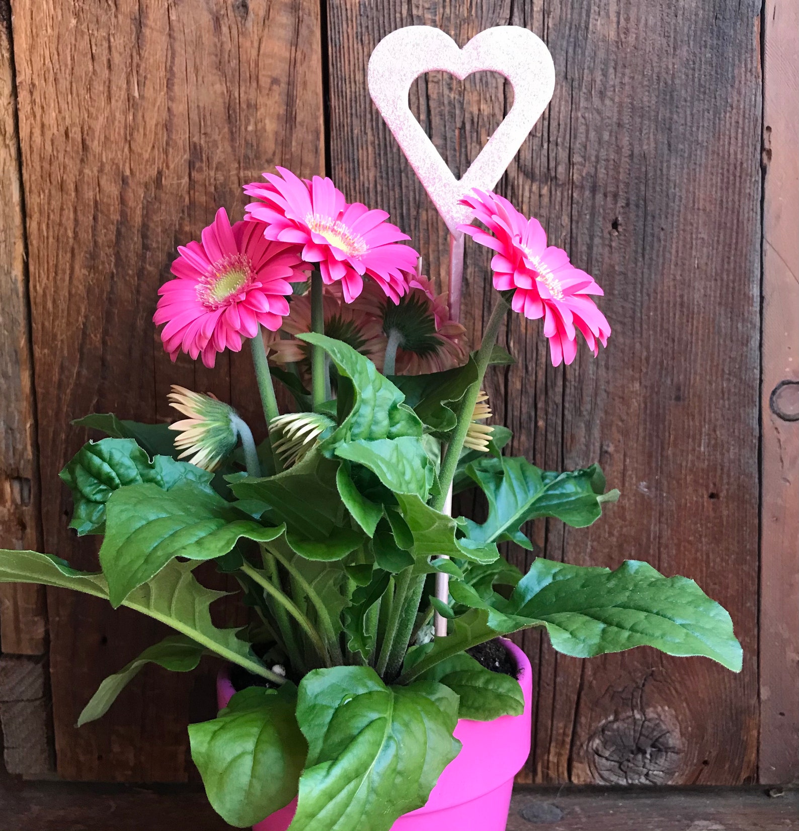Light Pink Glitter Heart Plant &amp; Garden Stake Etsy