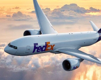 Express Delivery FEDEX/UPS
