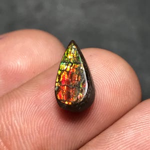 May include: A teardrop-shaped gemstone with a vibrant, iridescent display of colors including red, orange, yellow, and green. The gem is set in a dark, possibly wooden, frame. The stone's surface has a textured, mosaic-like appearance.