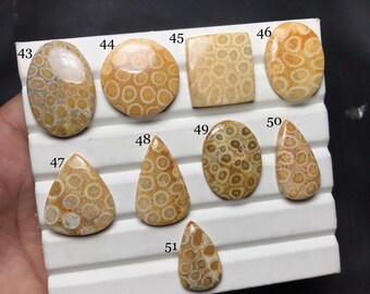 Natural Fossil Coral Cabochon : Gemstone for Jewelry Making