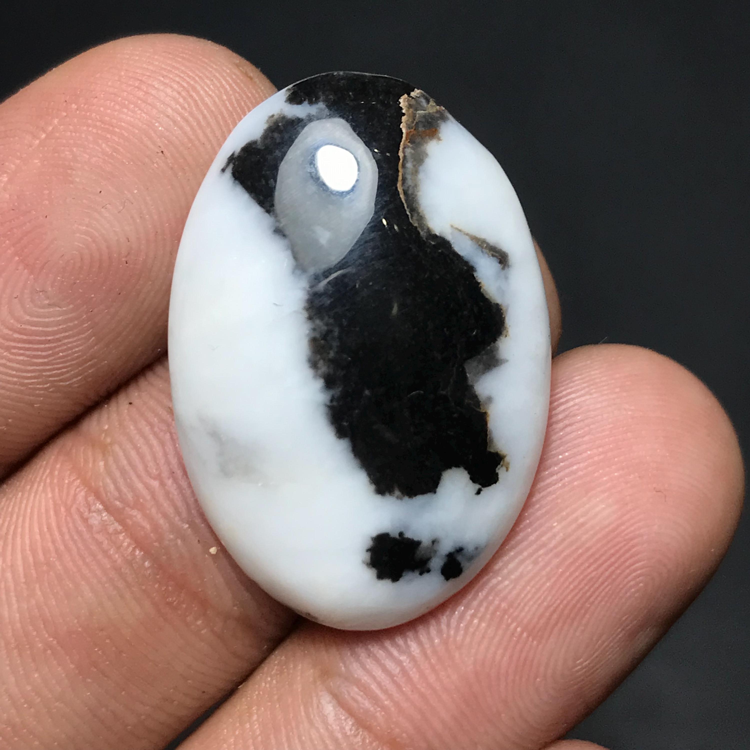 アクセサリー SJSJapan presence white &orange,black Natural Zebra Jasper Cabochon: Oval Gemstone for Jewelry