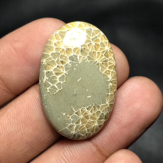 Natural Fossil Coral Cabochon For Loose Gemstone, 31x21x6mm, 36.20cts, Oval Gemstone, FC-014