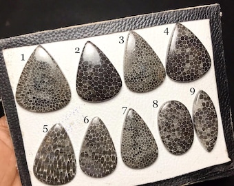Natural Black Fossil Coral Cabochon Gemstone For Jewelry Making