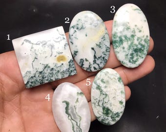 Natural Tree Agate Cabochon : Gemstone for Jewelry Making