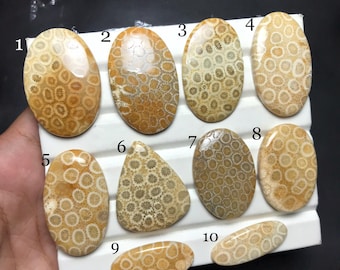 Natural Fossil Coral Cabochon : Gemstone for Jewelry Making
