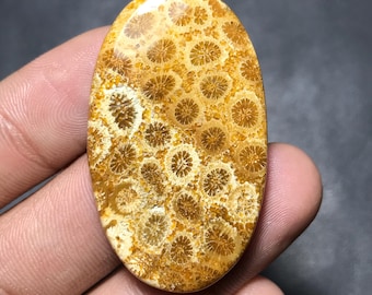 Coral fósil natural para gema suelta, 44 x 26 x 5 mm, 55,70 cts, gema ovalada, FC-006