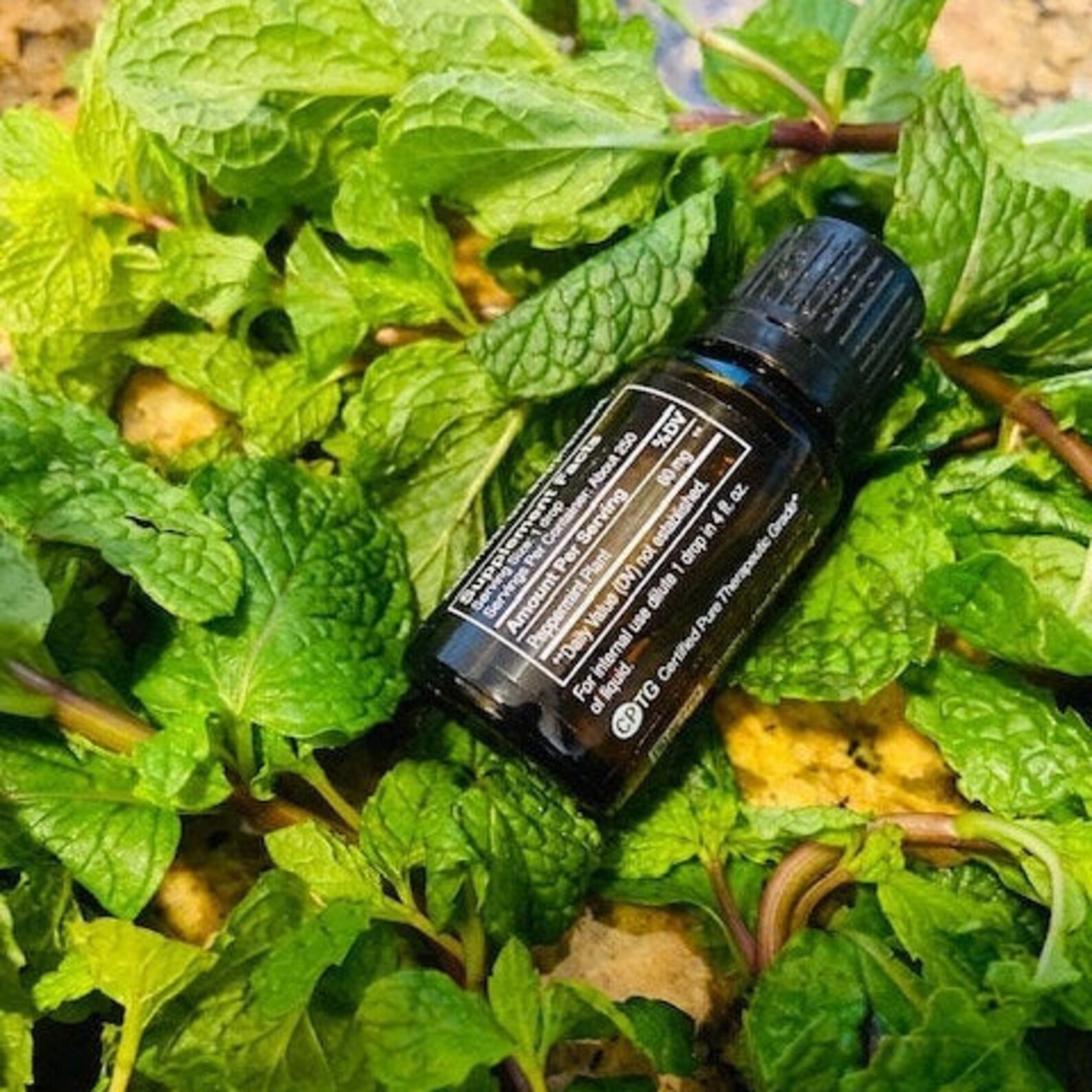 DoTERRA Peppermint Oil 15ml Etsy