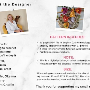 May include: A digital crochet pattern for a mushroom amigurumi toy. The pattern includes 12 pages of instructions, step-by-step photos, and video tutorials. The finished toy is about 13 cm tall. The pattern is available for download only.