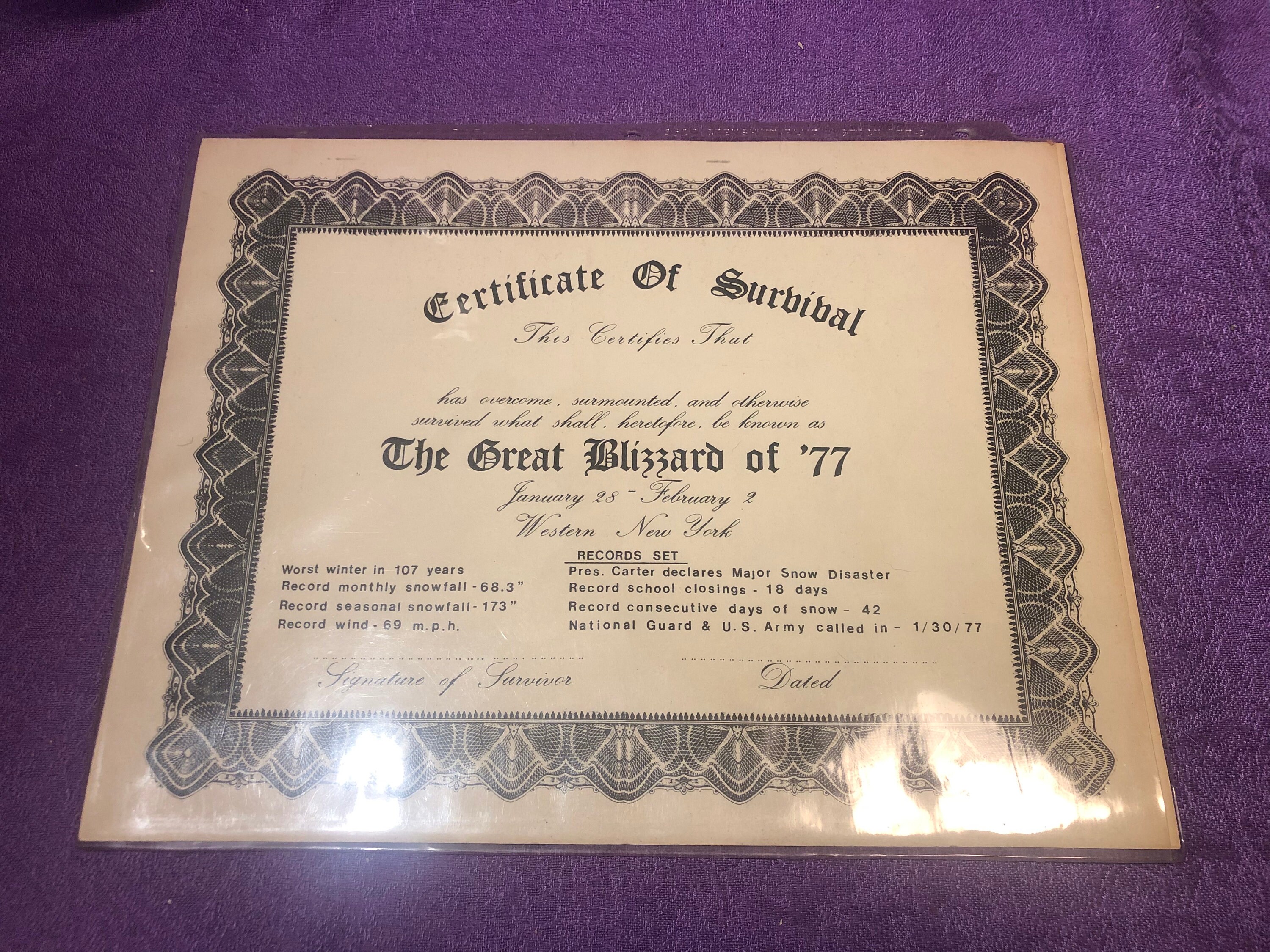 Certificate of Survival, The Great Blizzard of ‘77, Blank Certificate, Ephemera, Western NY Memorabelia