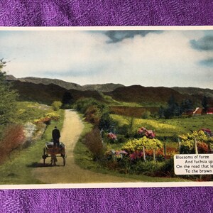 Nordirland Postkarte, Blüten von Furze und Fuchsien auf der Straße die zum braunen Hügel führt , 1964 Ungebraucht