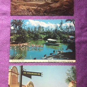 Cartolina di Mike Roberts, America's Postcard King, anni '70, Busch Gardens, Los Angeles, California, inutilizzata, divisa sul retro